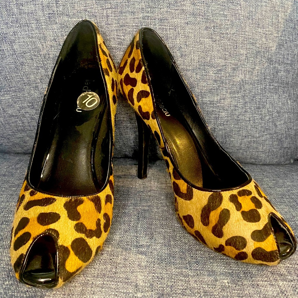 Leopard heals